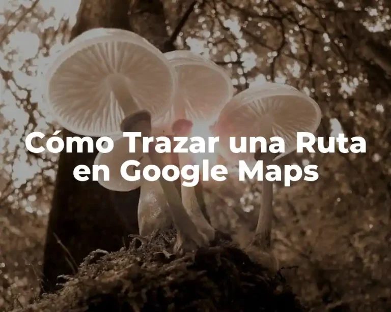 Cómo Trazar una Ruta en Google Maps