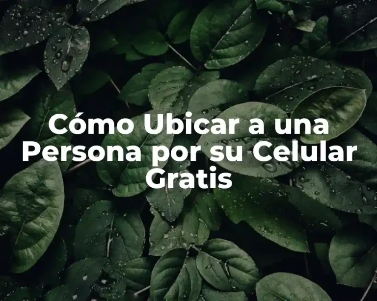 Cómo Ubicar a una Persona por su Celular Gratis