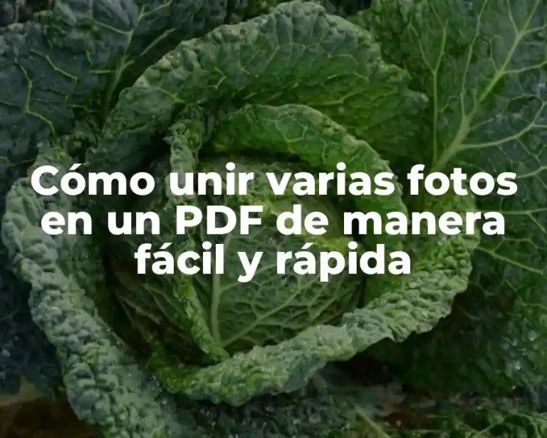 Cómo unir varias fotos en un PDF de manera fácil y rápida