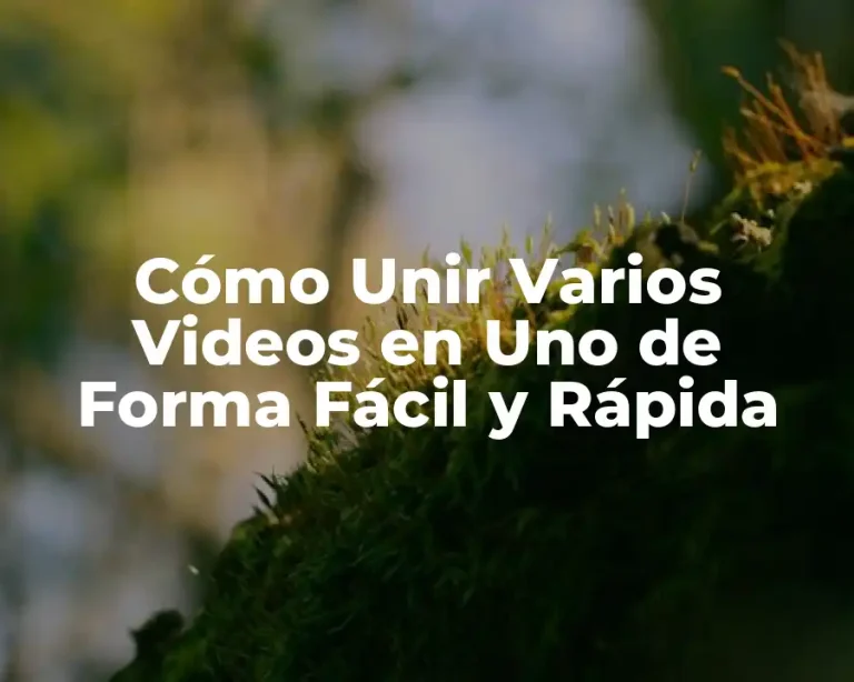 Cómo Unir Varios Videos en Uno de Forma Fácil y Rápida