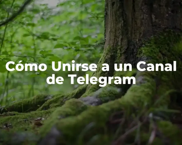 Cómo Unirse a un Canal de Telegram