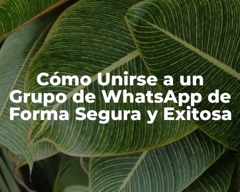 Cómo Unirse a un Grupo de WhatsApp de Forma Segura y Exitosa