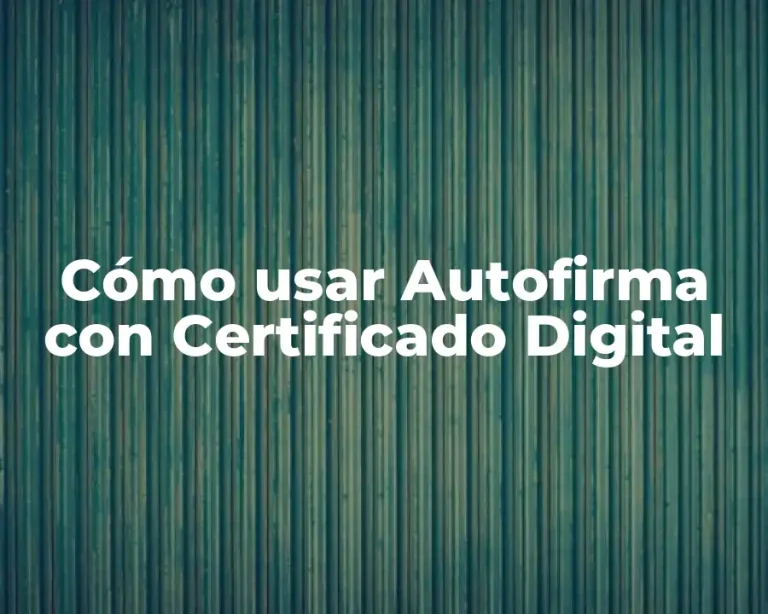 Cómo usar Autofirma con Certificado Digital