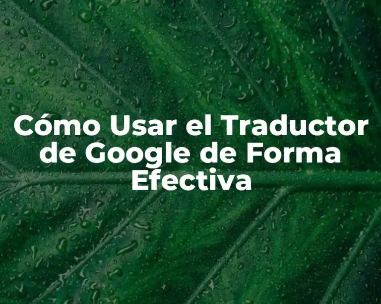 Cómo Usar el Traductor de Google de Forma Efectiva