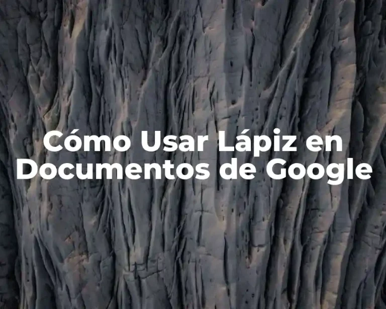 Cómo Usar Lápiz en Documentos de Google