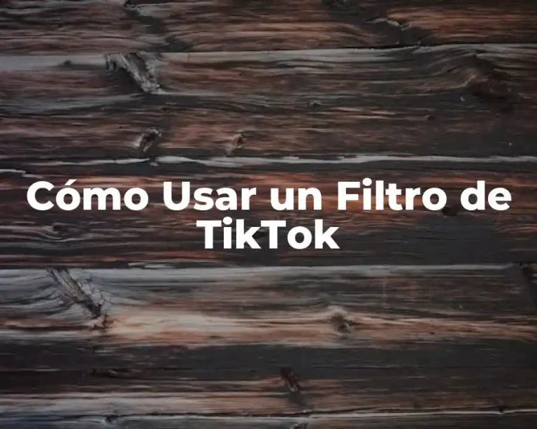 Cómo Usar un Filtro de TikTok