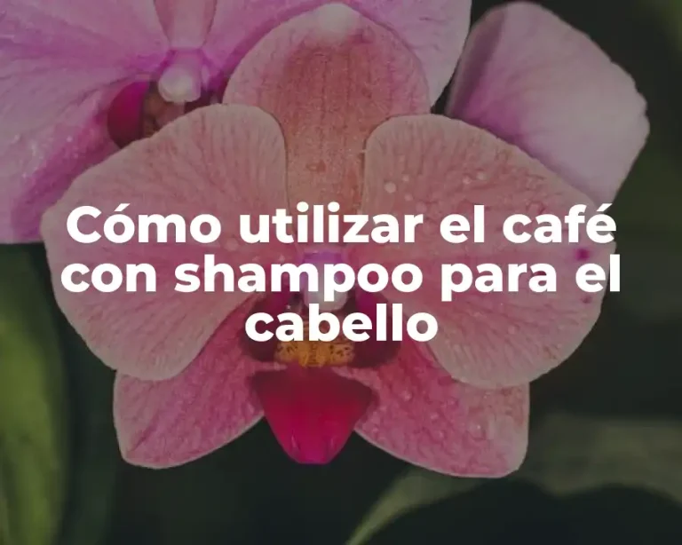 Cómo utilizar el café con shampoo para el cabello