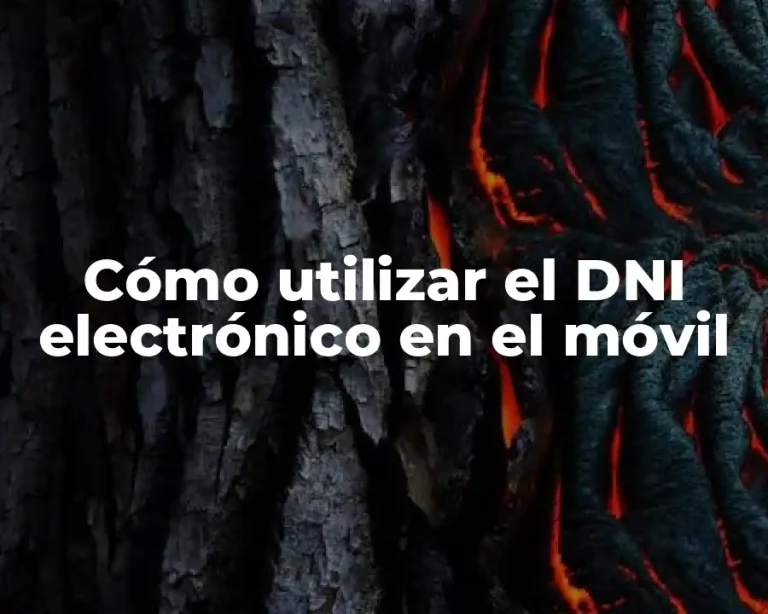 Cómo utilizar el DNI electrónico en el móvil