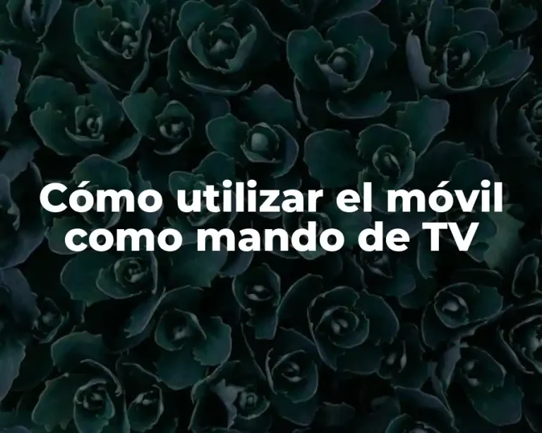 Cómo utilizar el móvil como mando de TV