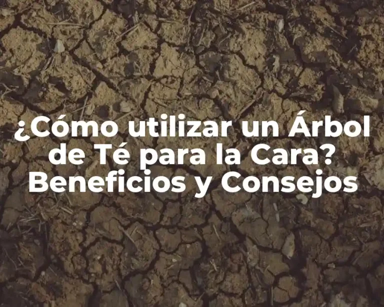 ¿Cómo utilizar un Árbol de Té para la Cara? Beneficios y Consejos