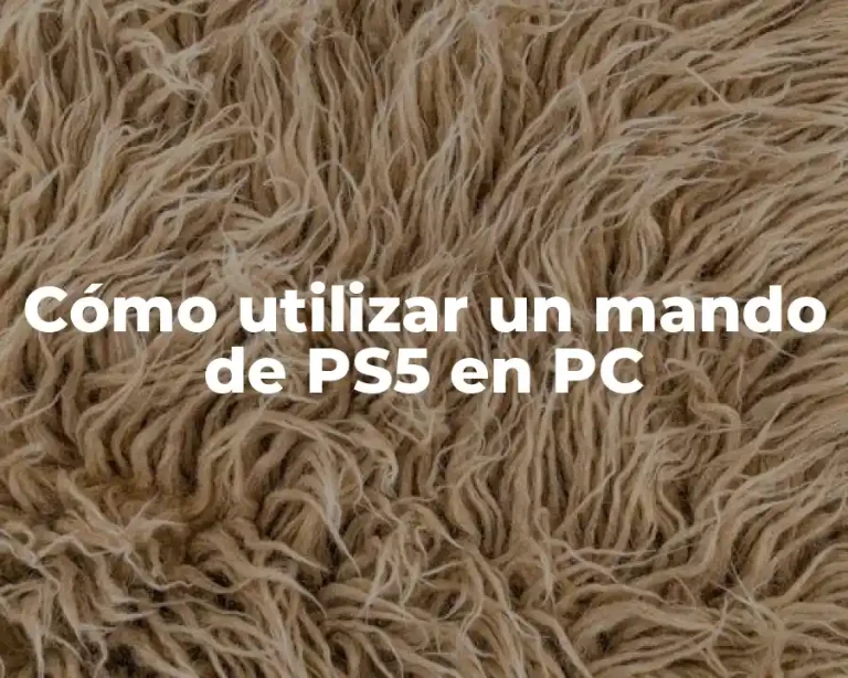 Cómo utilizar un mando de PS5 en PC