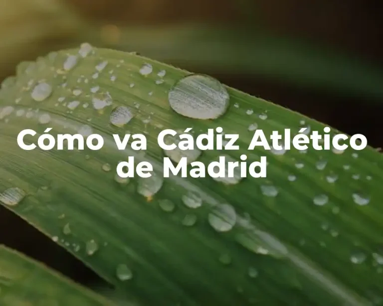 Cómo va Cádiz Atlético de Madrid