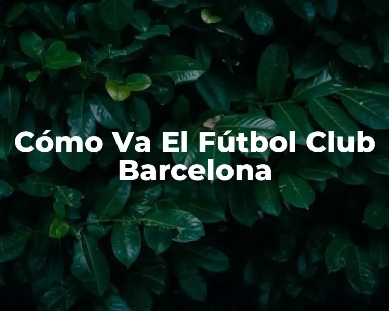 Cómo Va El Fútbol Club Barcelona