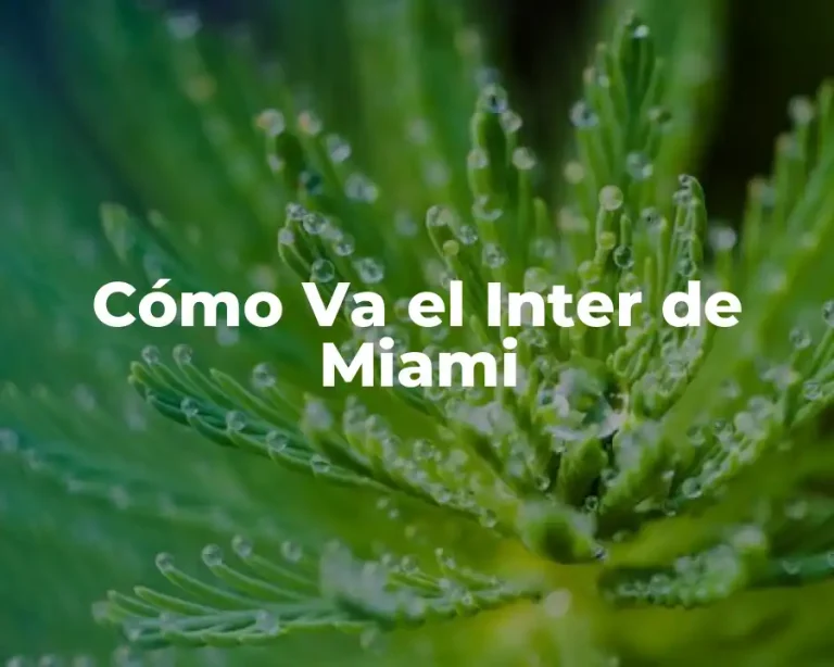 Cómo Va el Inter de Miami