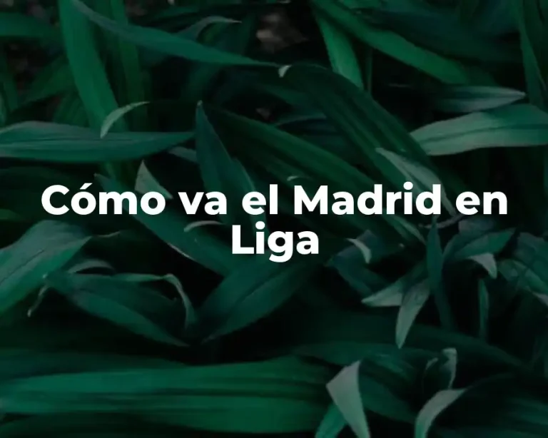 Cómo va el Madrid en Liga