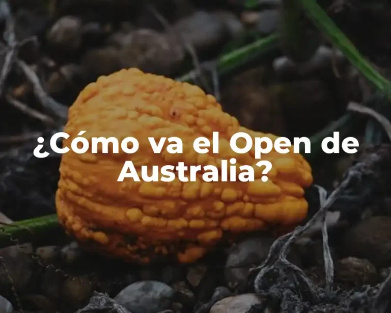 ¿Cómo va el Open de Australia?