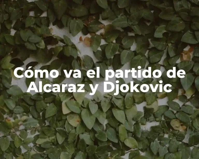 Cómo va el partido de Alcaraz y Djokovic
