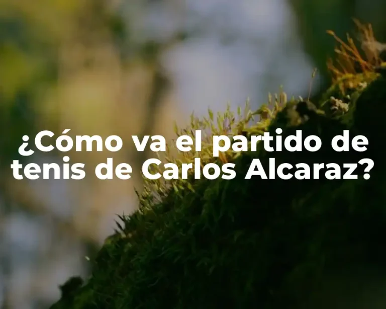 ¿Cómo va el partido de tenis de Carlos Alcaraz?