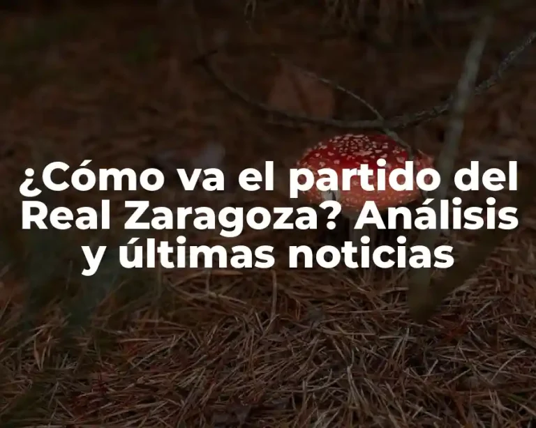¿Cómo va el partido del Real Zaragoza? Análisis y últimas noticias