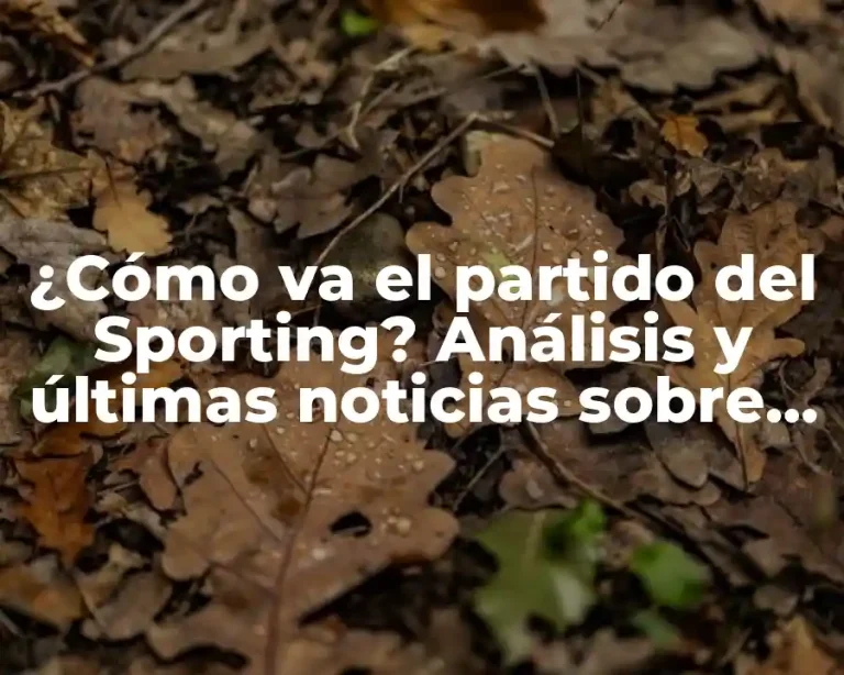 ¿Cómo va el partido del Sporting? Análisis y últimas noticias sobre el equipo de fútbol