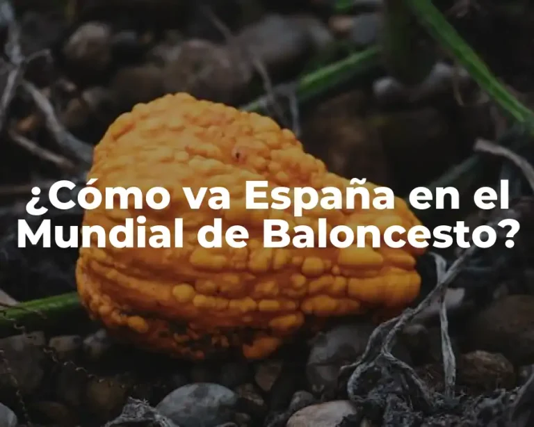 ¿Cómo va España en el Mundial de Baloncesto?