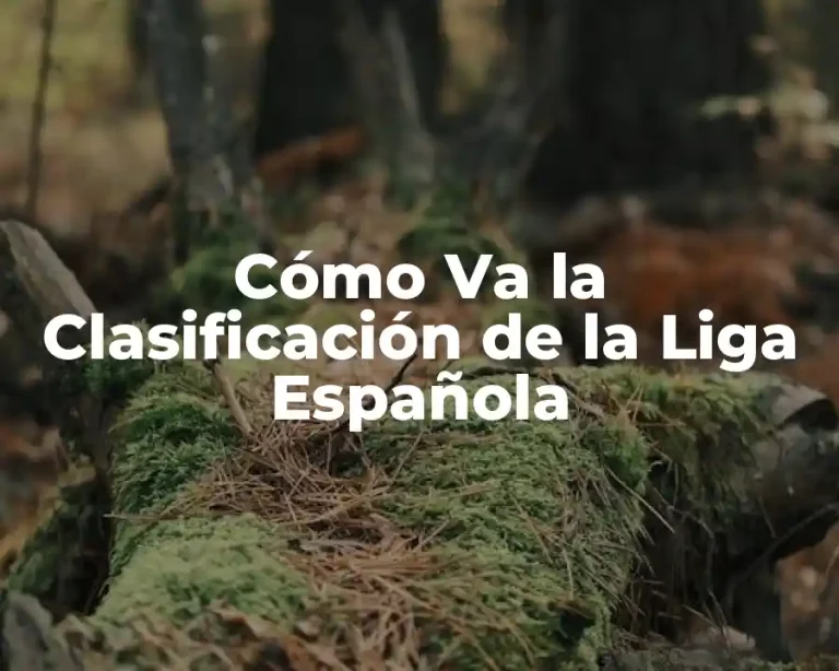 Cómo Va la Clasificación de la Liga Española