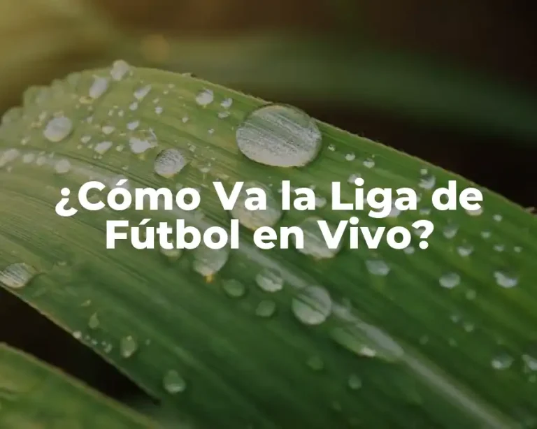 ¿Cómo Va la Liga de Fútbol en Vivo?