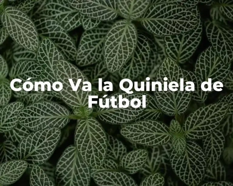 Cómo Va la Quiniela de Fútbol