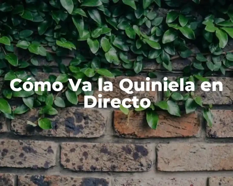 Cómo Va la Quiniela en Directo