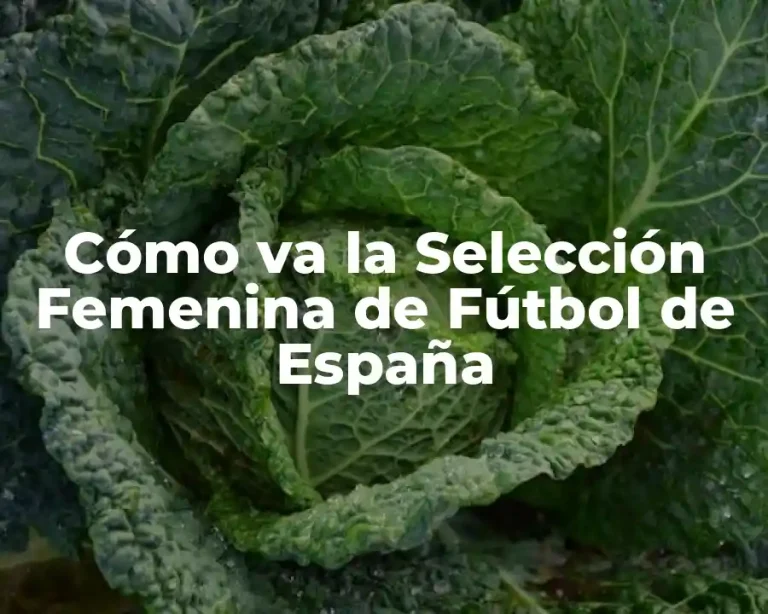 Cómo va la Selección Femenina de Fútbol de España