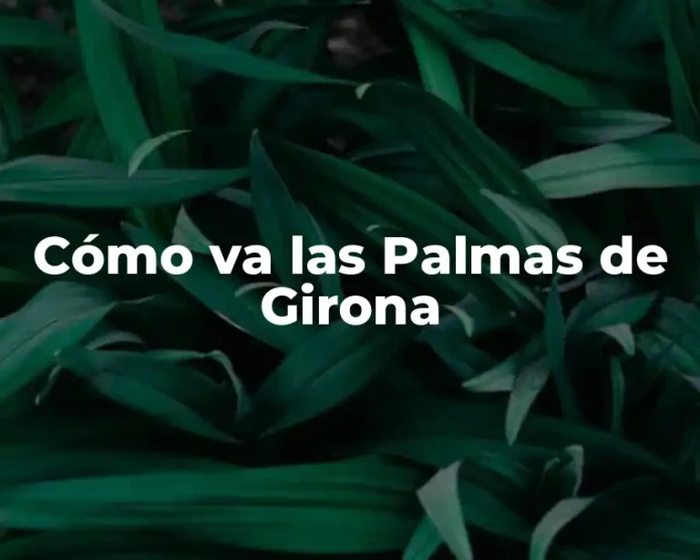 Cómo va las Palmas de Girona