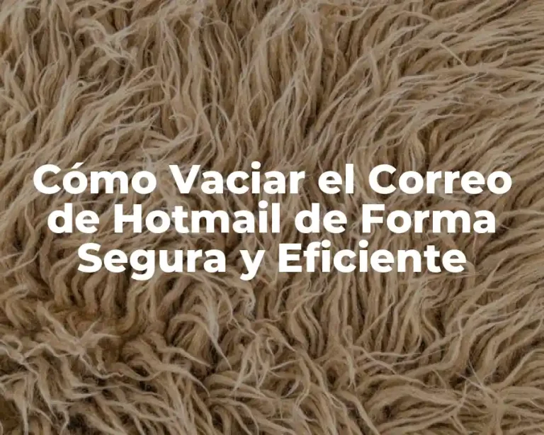 Cómo Vaciar el Correo de Hotmail de Forma Segura y Eficiente