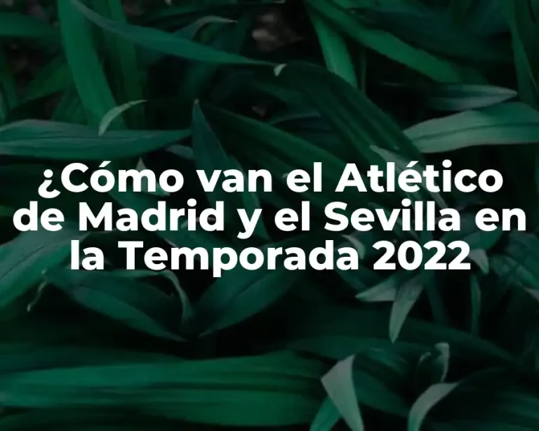 ¿Cómo van el Atlético de Madrid y el Sevilla en la Temporada 2022