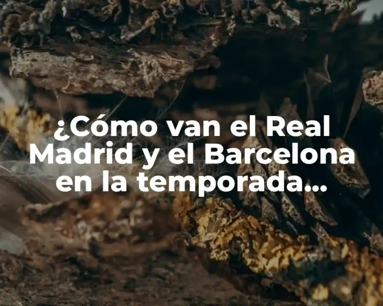 ¿Cómo van el Real Madrid y el Barcelona en la temporada actual?