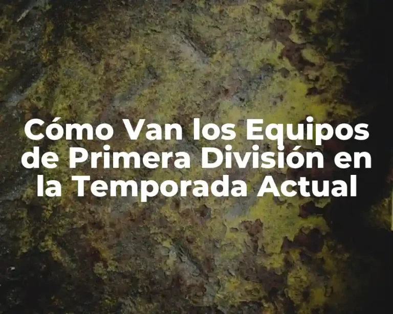 Cómo Van los Equipos de Primera División en la Temporada Actual
