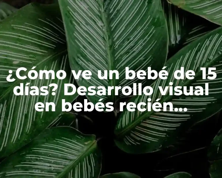 ¿Cómo ve un bebé de 15 días? Desarrollo visual en bebés recién nacidos