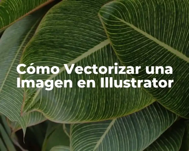 Cómo Vectorizar una Imagen en Illustrator