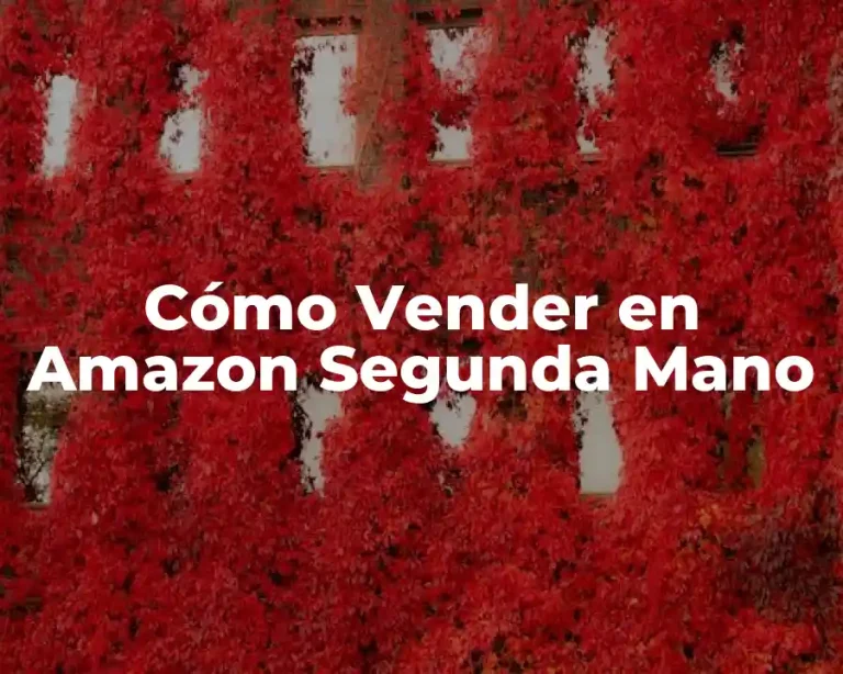 Cómo Vender en Amazon Segunda Mano