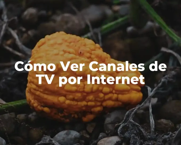 Cómo Ver Canales de TV por Internet