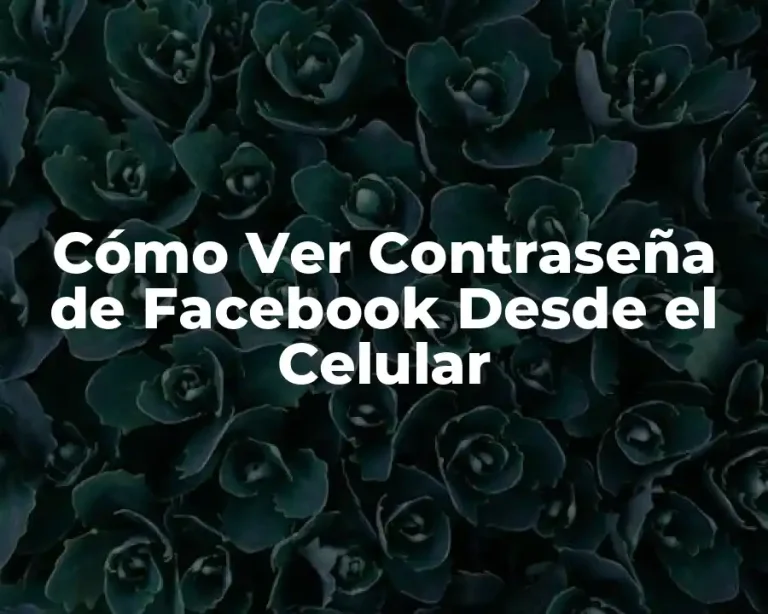 Cómo Ver Contraseña de Facebook Desde el Celular