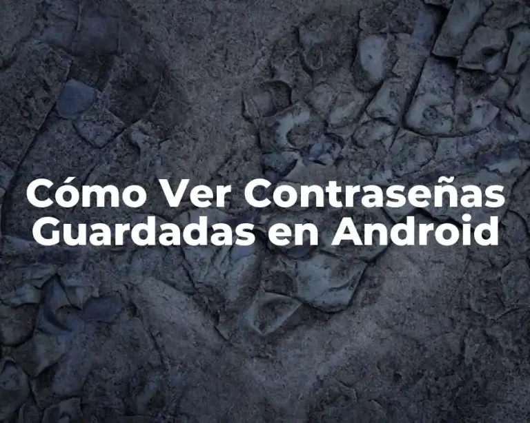 Cómo Ver Contraseñas Guardadas en Android