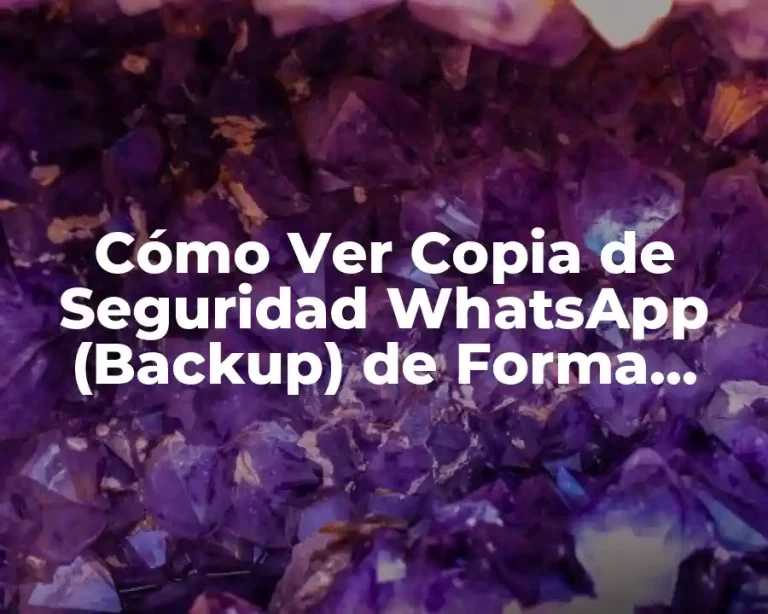 Cómo Ver Copia de Seguridad WhatsApp (Backup) de Forma Segura