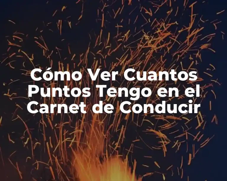 Cómo Ver Cuantos Puntos Tengo en el Carnet de Conducir