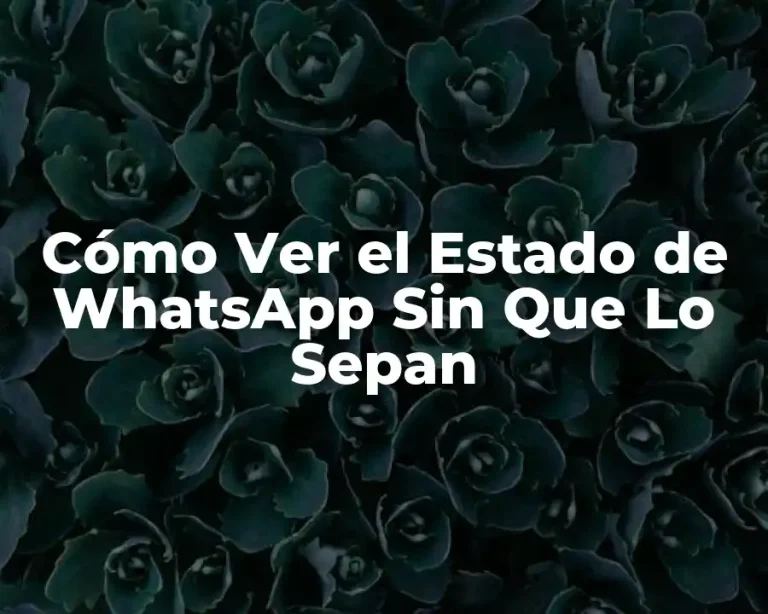 Cómo Ver el Estado de WhatsApp Sin Que Lo Sepan