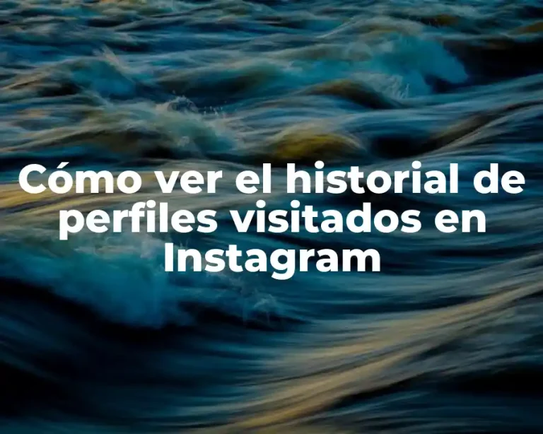 Cómo ver el historial de perfiles visitados en Instagram