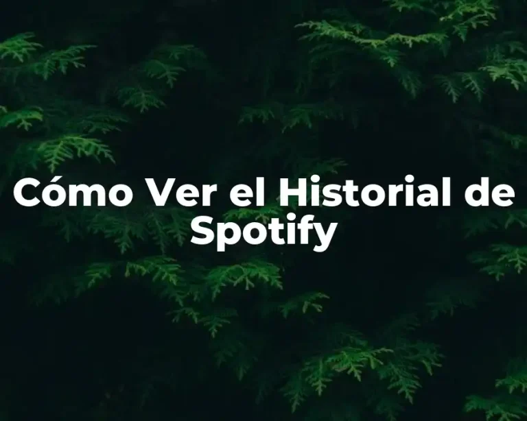 Cómo Ver el Historial de Spotify