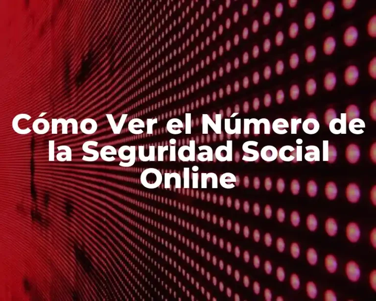 Cómo Ver el Número de la Seguridad Social Online