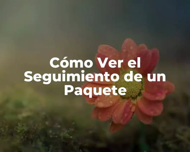 Cómo Ver el Seguimiento de un Paquete