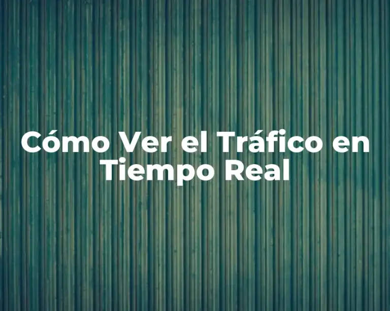 Cómo Ver el Tráfico en Tiempo Real
