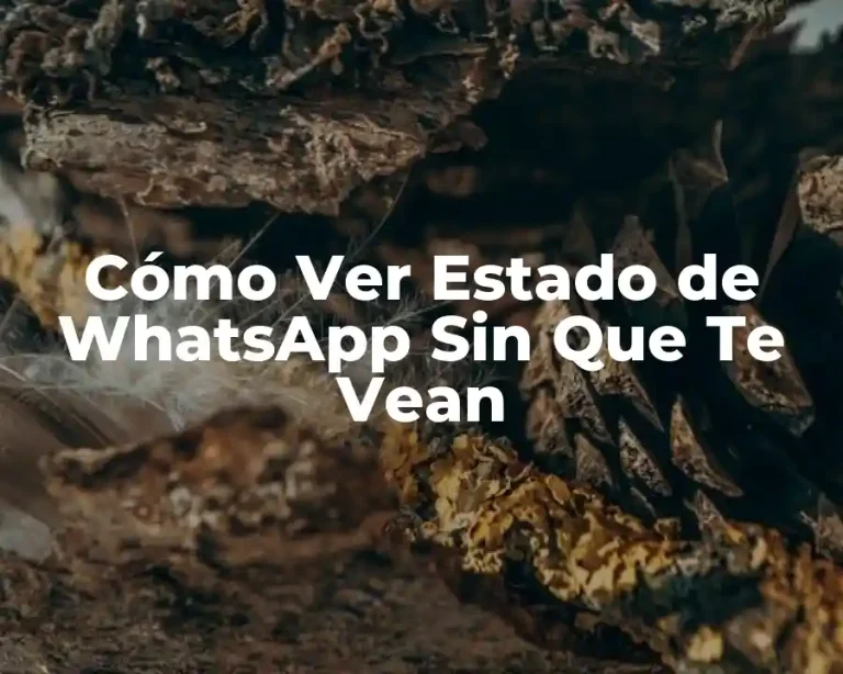 Cómo Ver Estado de WhatsApp Sin Que Te Vean